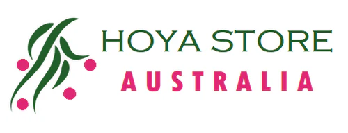 Hoya Store